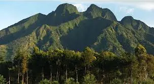 6 days Rwanda Wildlife and Gorilla Safari| Kizza Adventure